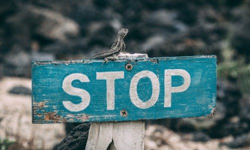 Wood sign painted blue with the word "Stop" in white letters.