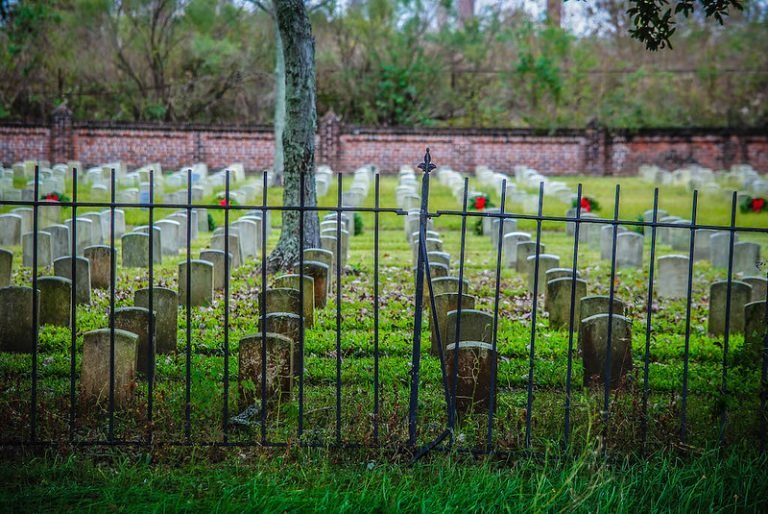 Iron fence with rows of headstones behind it.